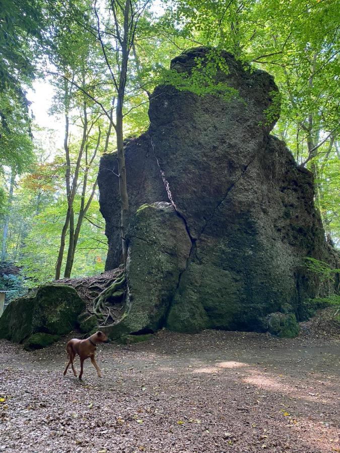 Ferienhaus Waldblick Hohenfels-Essingen Ngoại thất bức ảnh